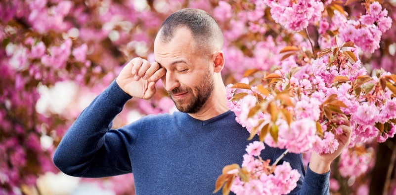 A man rubbing his eyes in a garden surrounded by blooming cherry blossoms